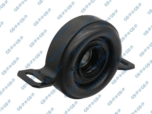 GSP 513570