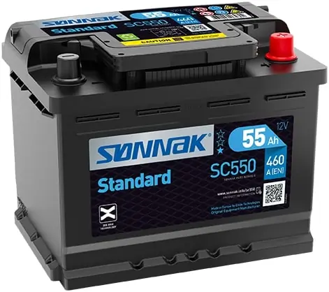 Starter Battery
