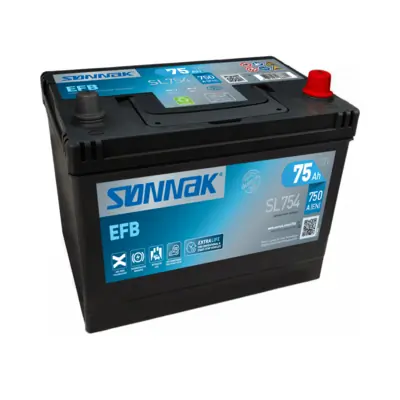 Starter Battery