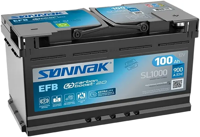 Starter Battery
