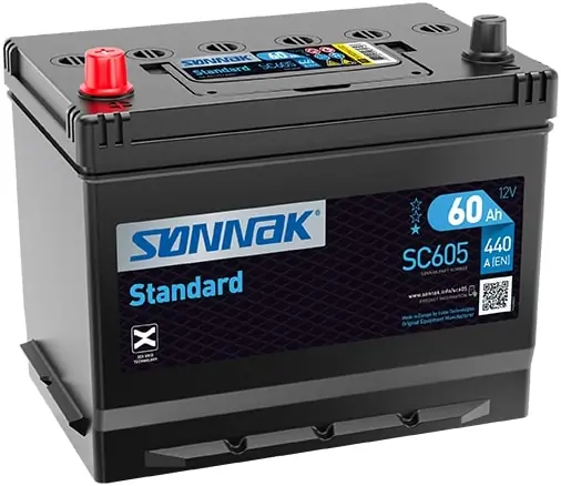 Starter Battery