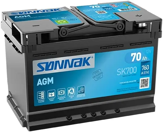 Starter Battery