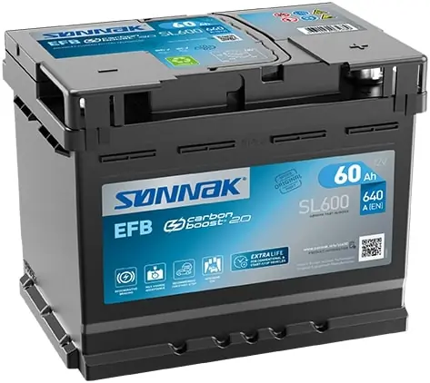 Starter Battery
