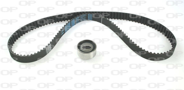 Timing Belt Kit