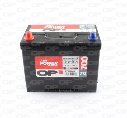 Starter Battery