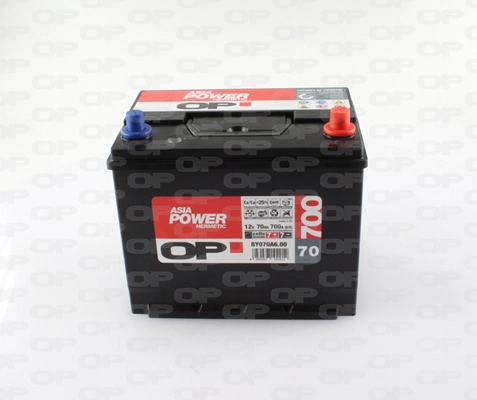 Starter Battery