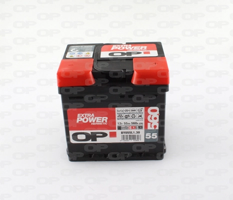 Starter Battery