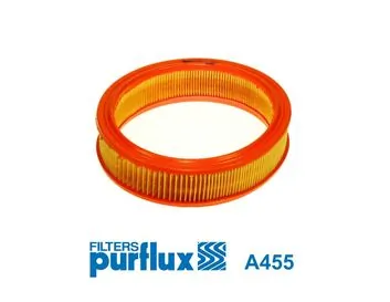 Filtre à air PURFLUX A455