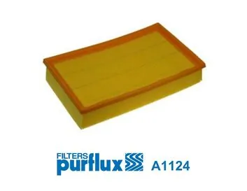 Filtre à air PURFLUX A1124