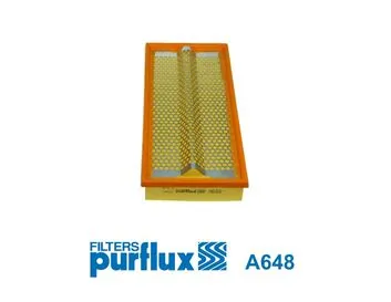 Filtre à air PURFLUX A648