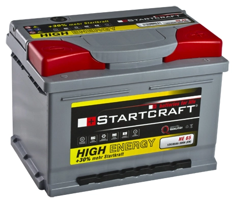 Starter Battery