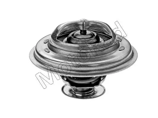 Thermostat, liquide de refroidissement MOTORAD 551-77JK
