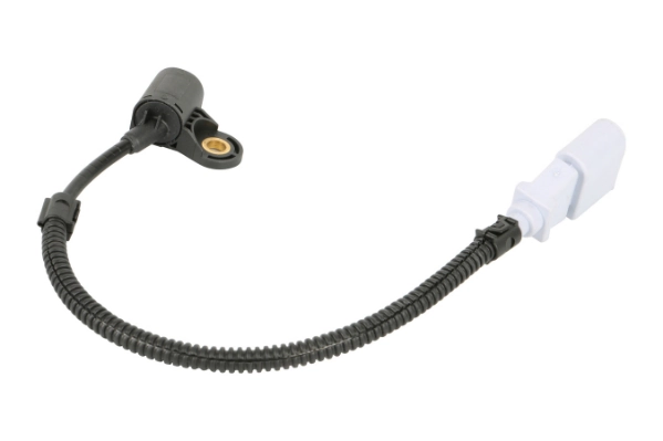 Capteur, position d'arbre à cames MOTORAD 1CS523