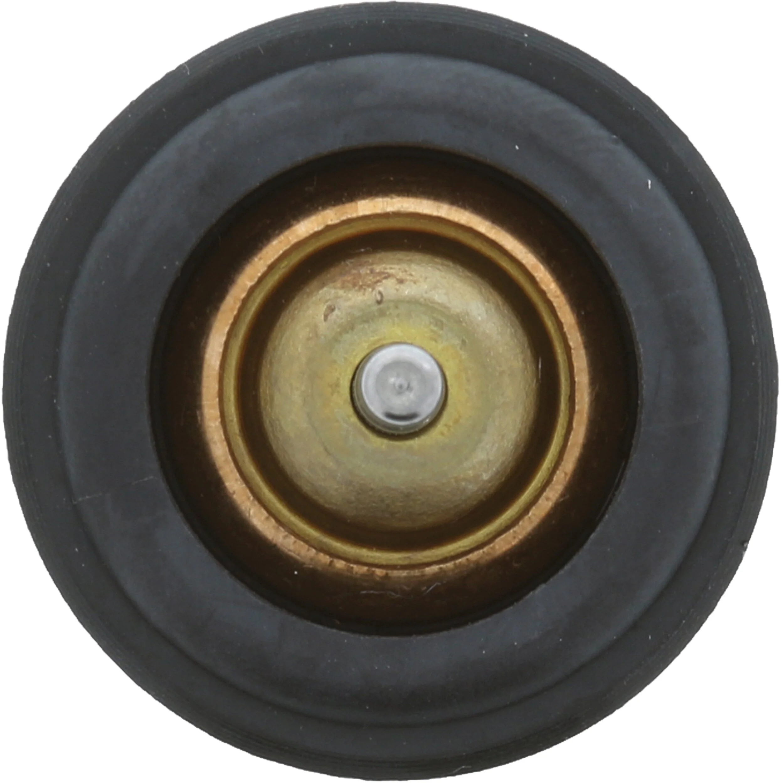 Thermostat, liquide de refroidissement MOTORAD 973-105K