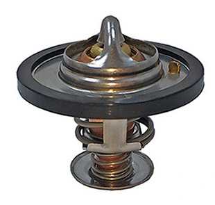 Thermostat, liquide de refroidissement MOTORAD 363-91K
