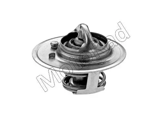 Thermostat, liquide de refroidissement MOTORAD 341-88K
