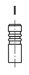 Intake Valve