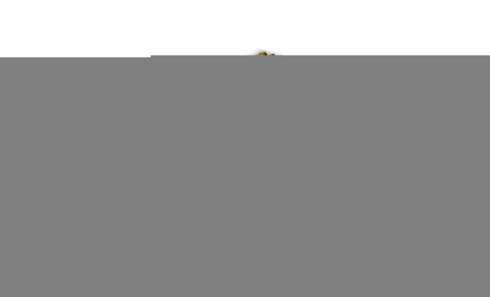 Filtre, air de l'habitacle MANN-FILTER FP 26 005