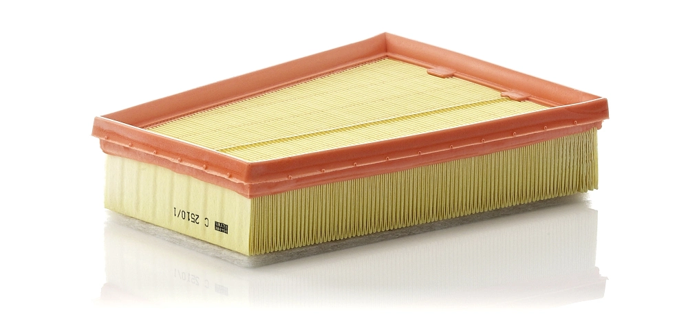 MANN-FILTER C2510/1 — Фільтр повітряний (вир-во MANN)