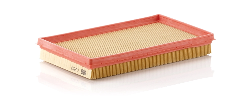 Filtre à air MANN-FILTER C 2653
