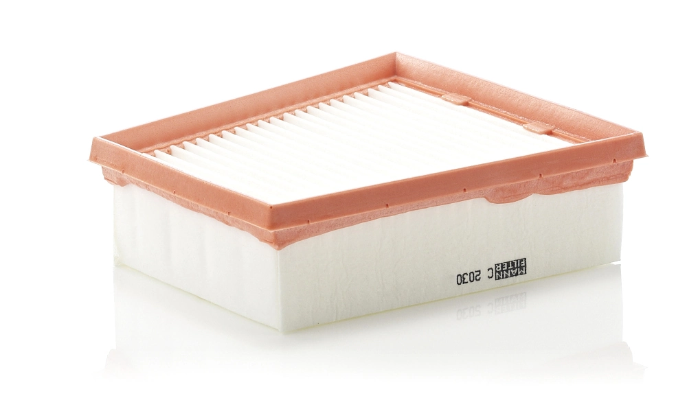Filtre à air MANN-FILTER C 2030