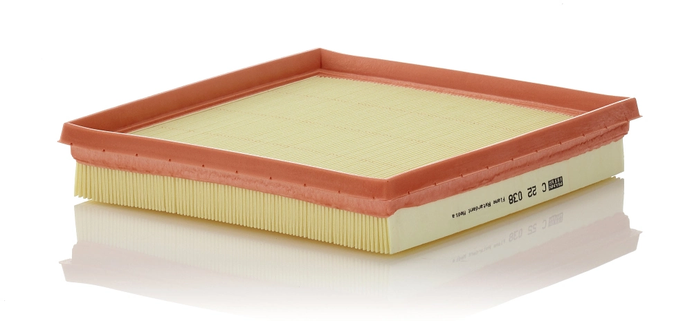 MANN-FILTER C22038