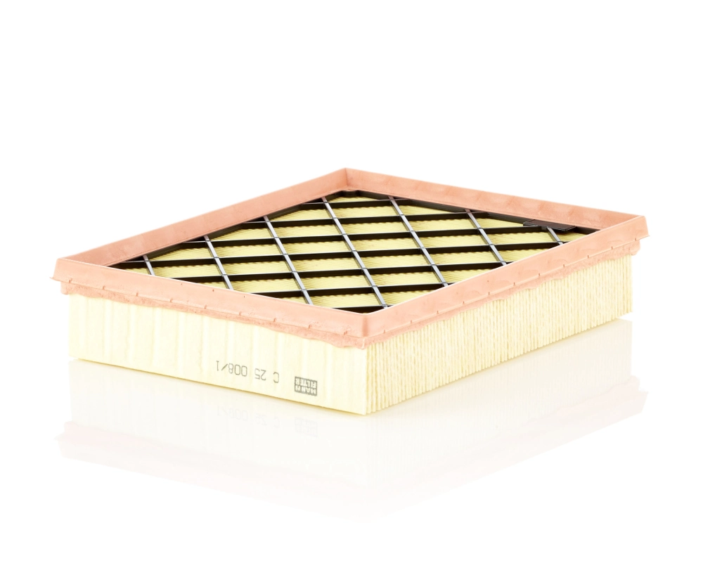 MANN-FILTER C25008/1 — Фільтр повітряний