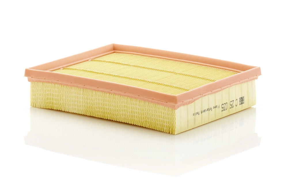 Filtre à air MANN-FILTER C 25 035