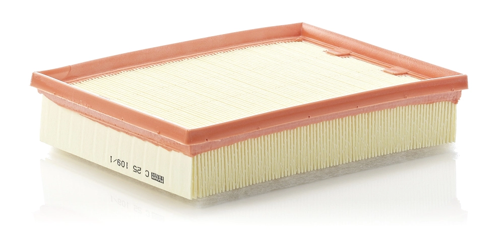 MANN-FILTER C25109/1 — Фільтр повітряний (вир-во MANN)