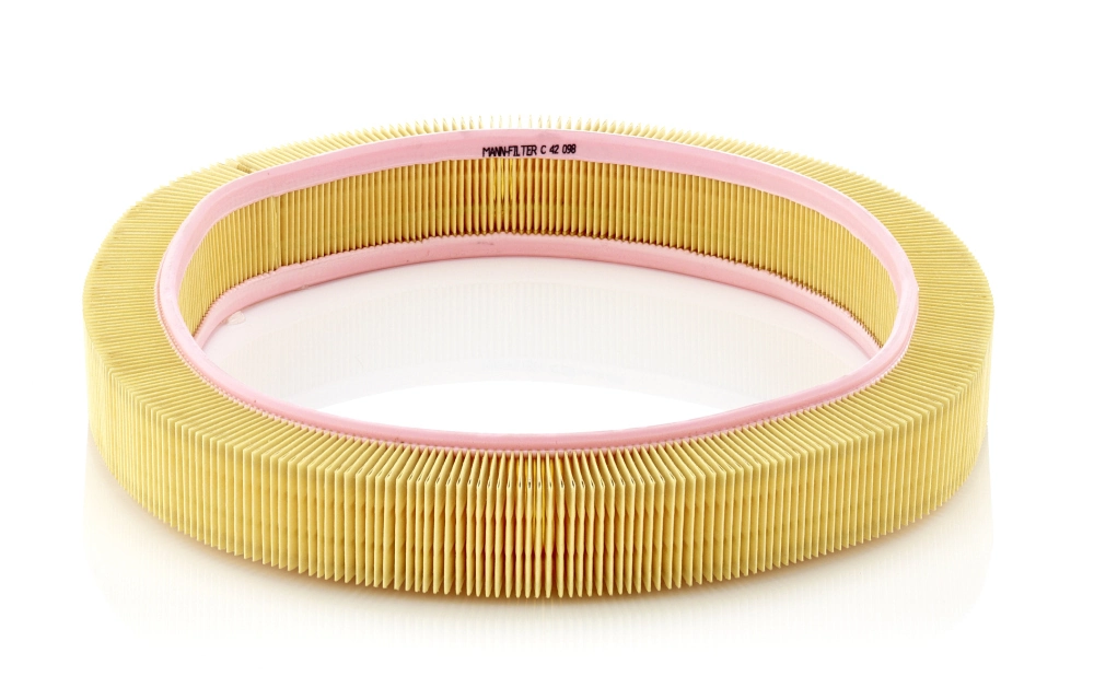 Filtre à air MANN-FILTER C 42 098