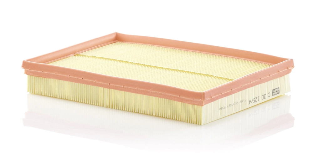 MANN-FILTER C30125/4 — Фільтр повітряний (вир-во MANN)