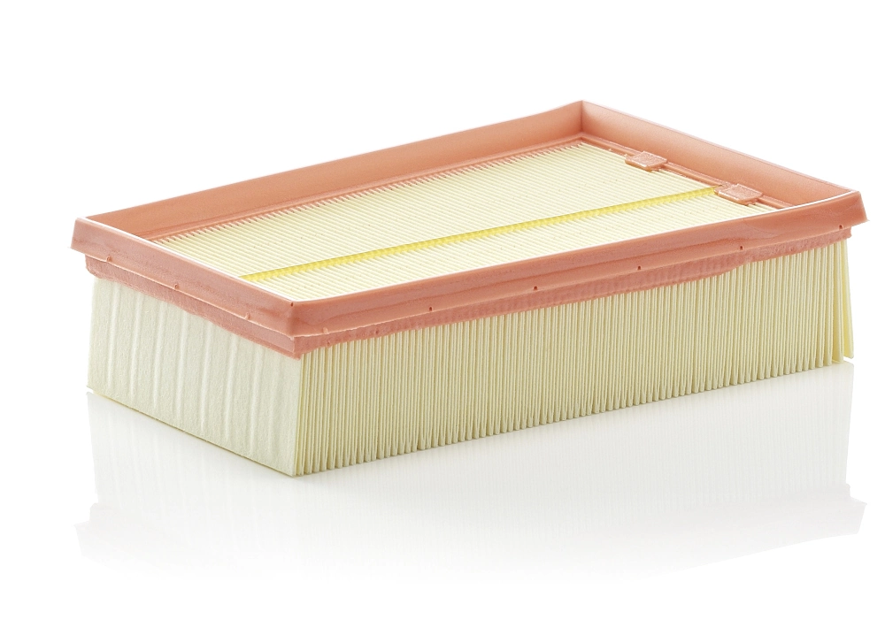 MANN-FILTER C2433/2 — Фільтр повітряний