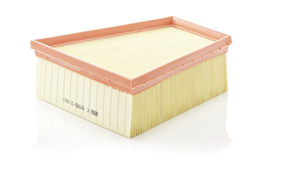 MANN-FILTER C2295/3 — Фільтр повітряний (вир-во MANN)