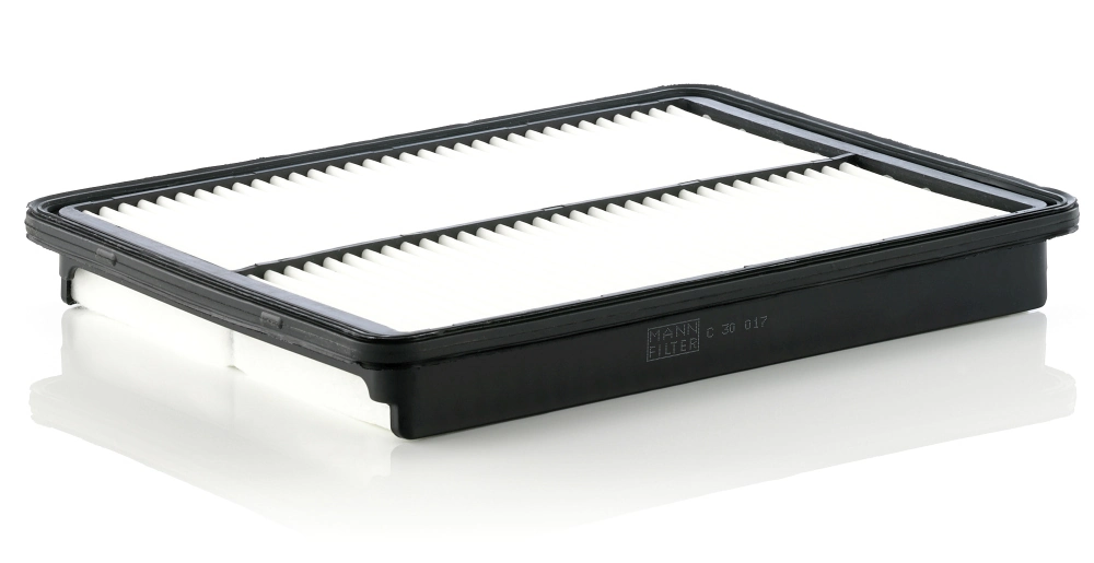 Filtre à air MANN-FILTER C 30 017