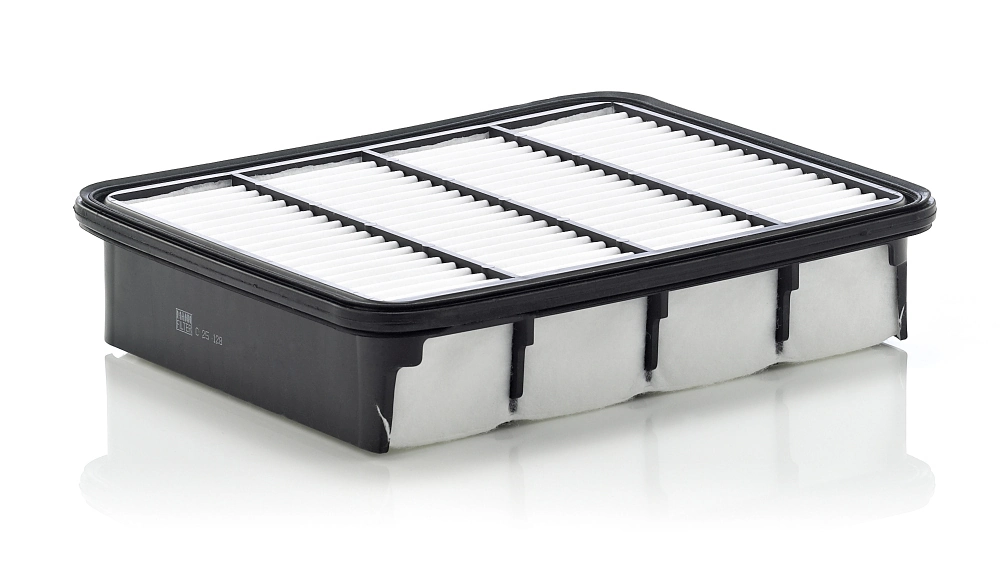 Filtre à air MANN-FILTER C 25 128