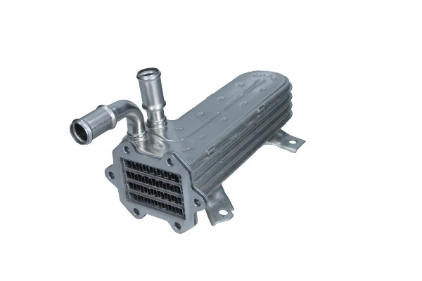 Module-EGR