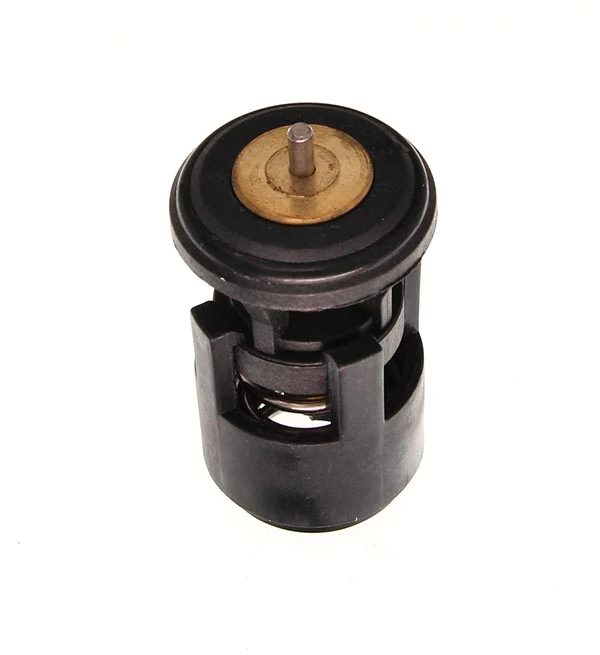 Thermostat d'eau