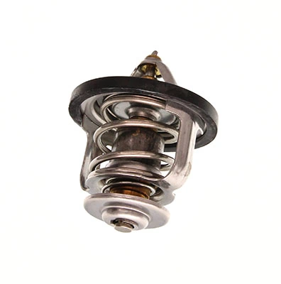 Thermostat d'eau