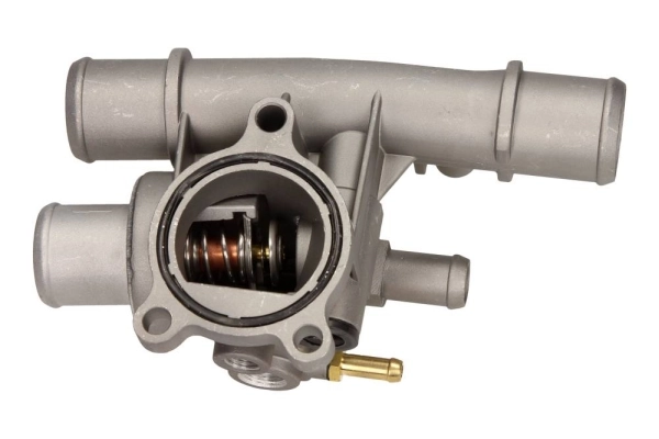 Thermostat d'eau