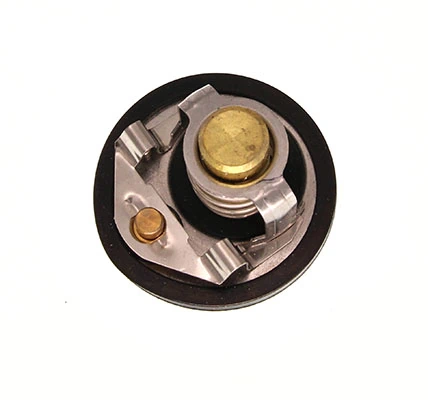 Thermostat d'eau