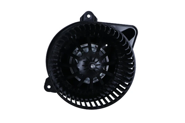 Pulseur d'air habitacle