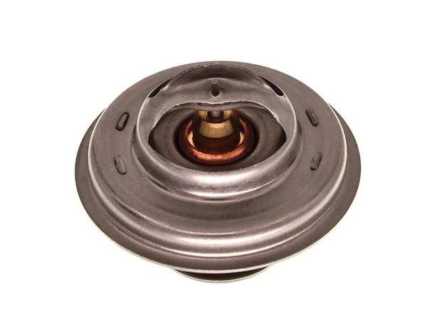 Thermostat d'eau