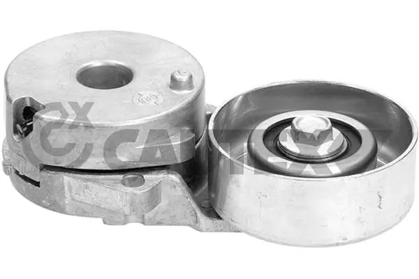 Tensioner Lever, V-ribbed belt