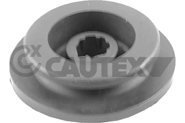Radiator Mounting