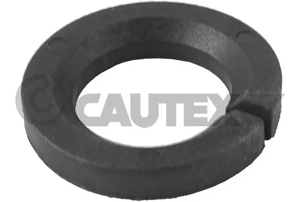 Mounting, steering gear