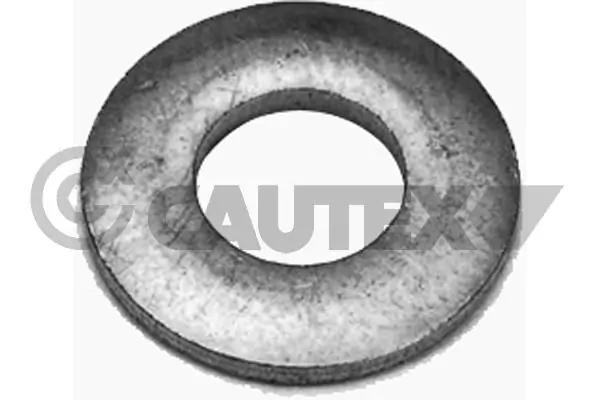 Seal Ring, injector