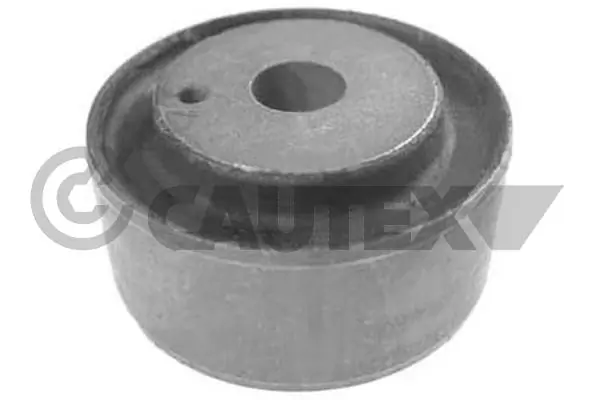 Mounting, transfer case