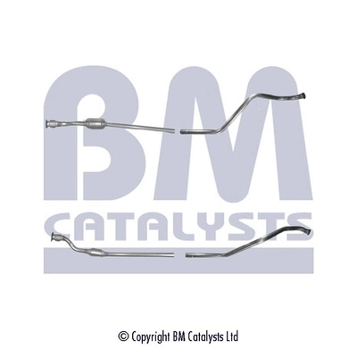Catalyseur BM CATALYSTS BM80169H