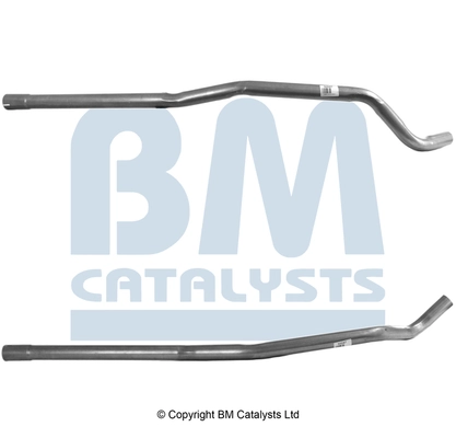 Catalyseur BM CATALYSTS BM80047H