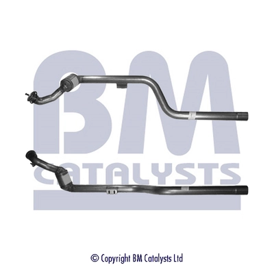 Catalyseur BM CATALYSTS BM80066H